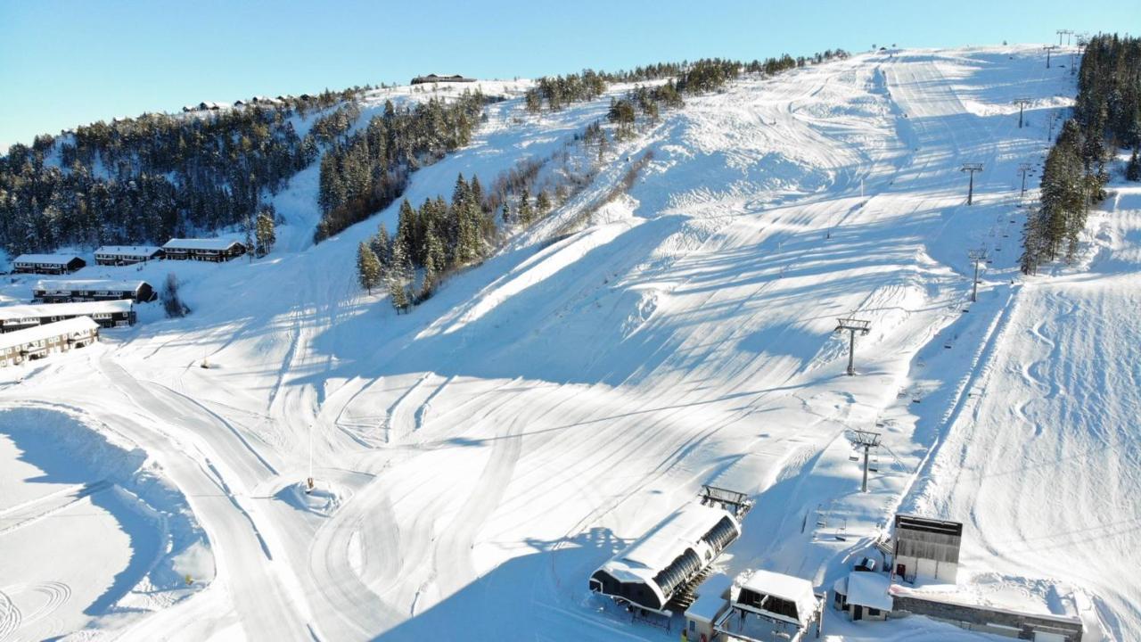 Ski Lodge Gautefall エクステリア 写真