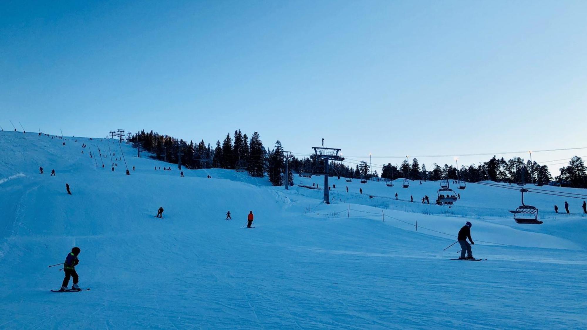 Ski Lodge Gautefall エクステリア 写真