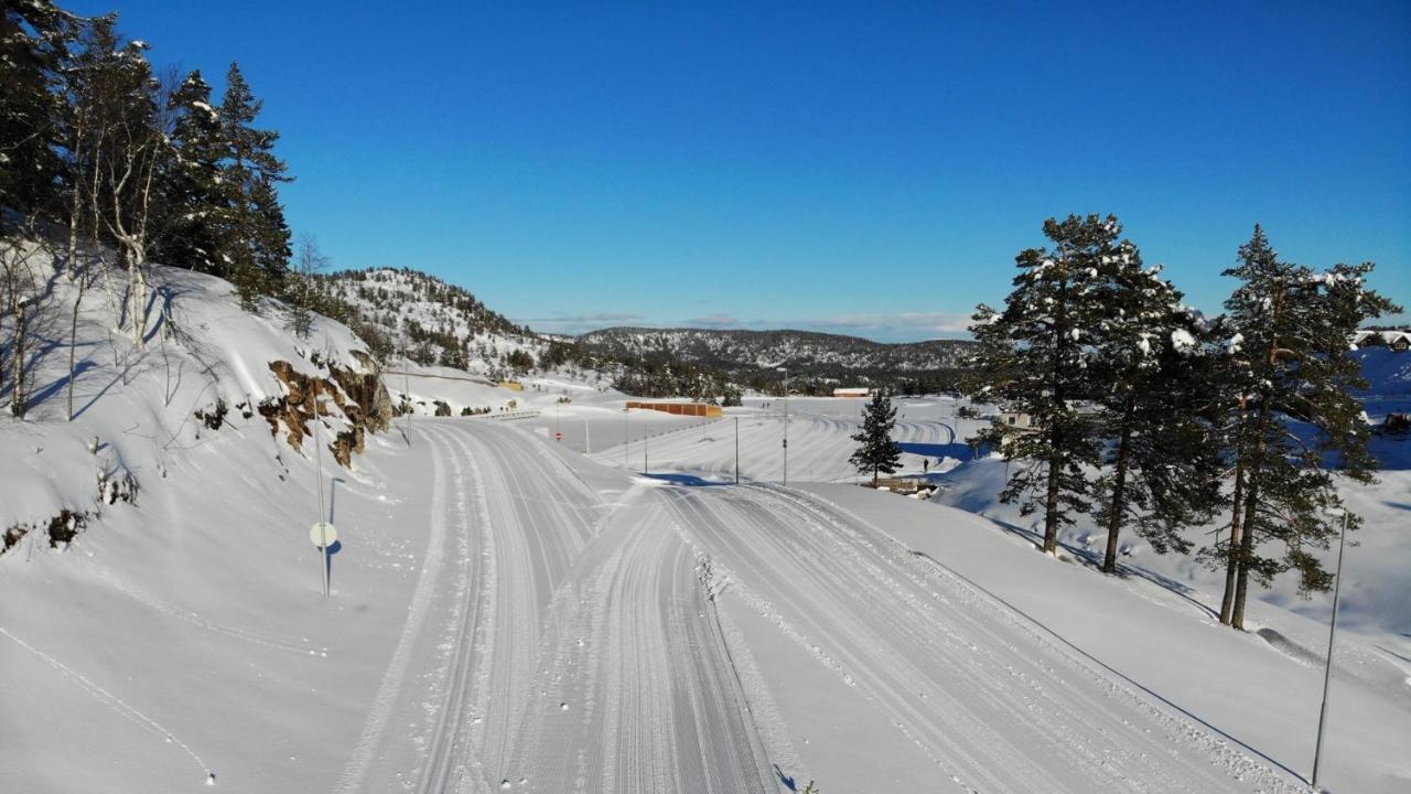 Ski Lodge Gautefall エクステリア 写真