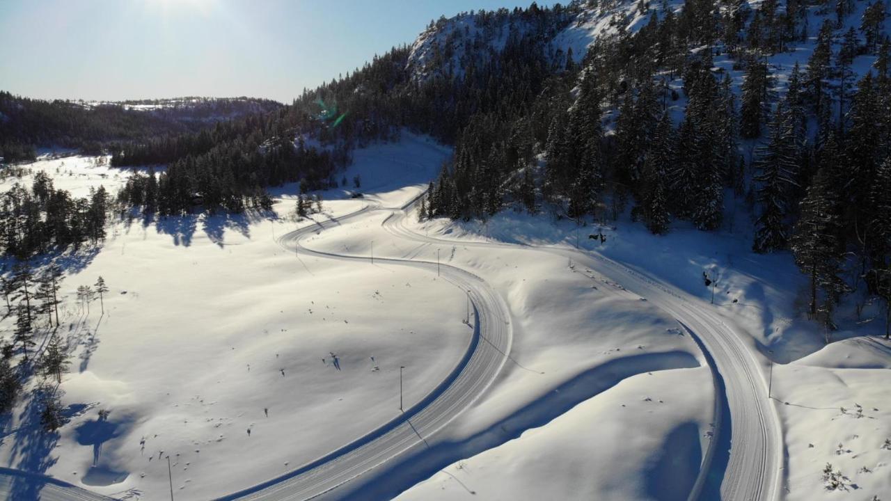 Ski Lodge Gautefall エクステリア 写真
