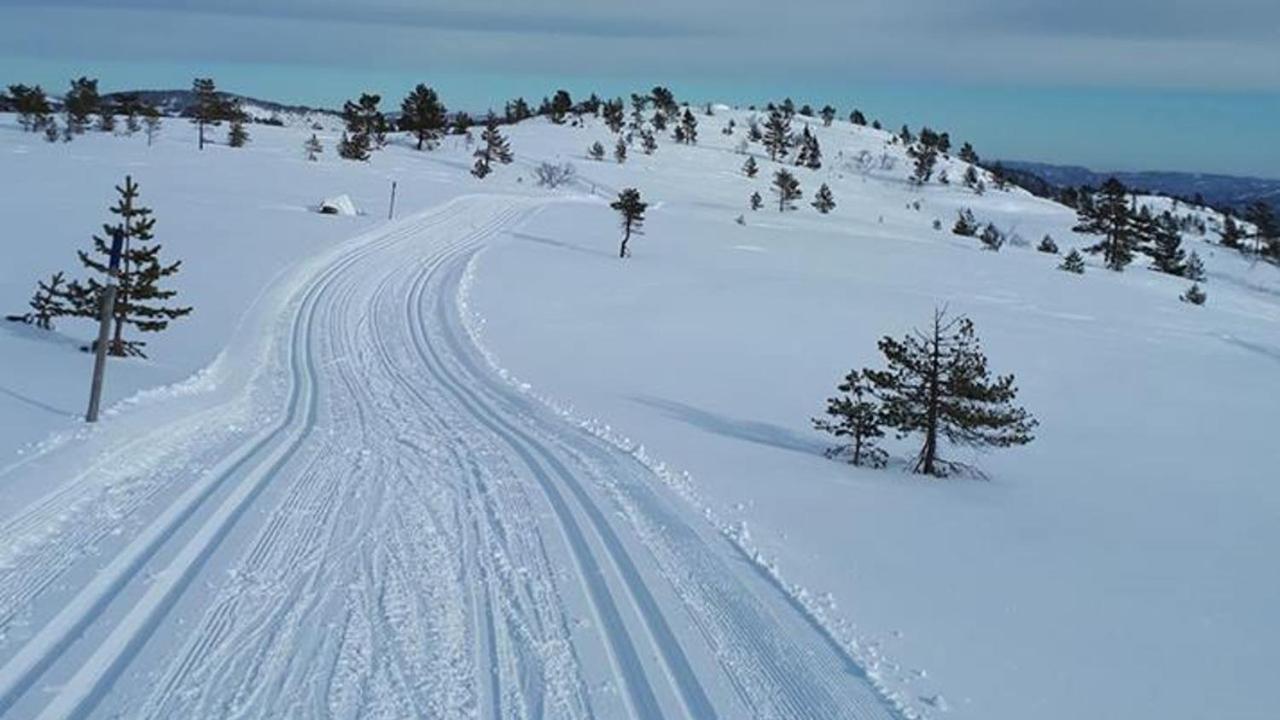 Ski Lodge Gautefall エクステリア 写真