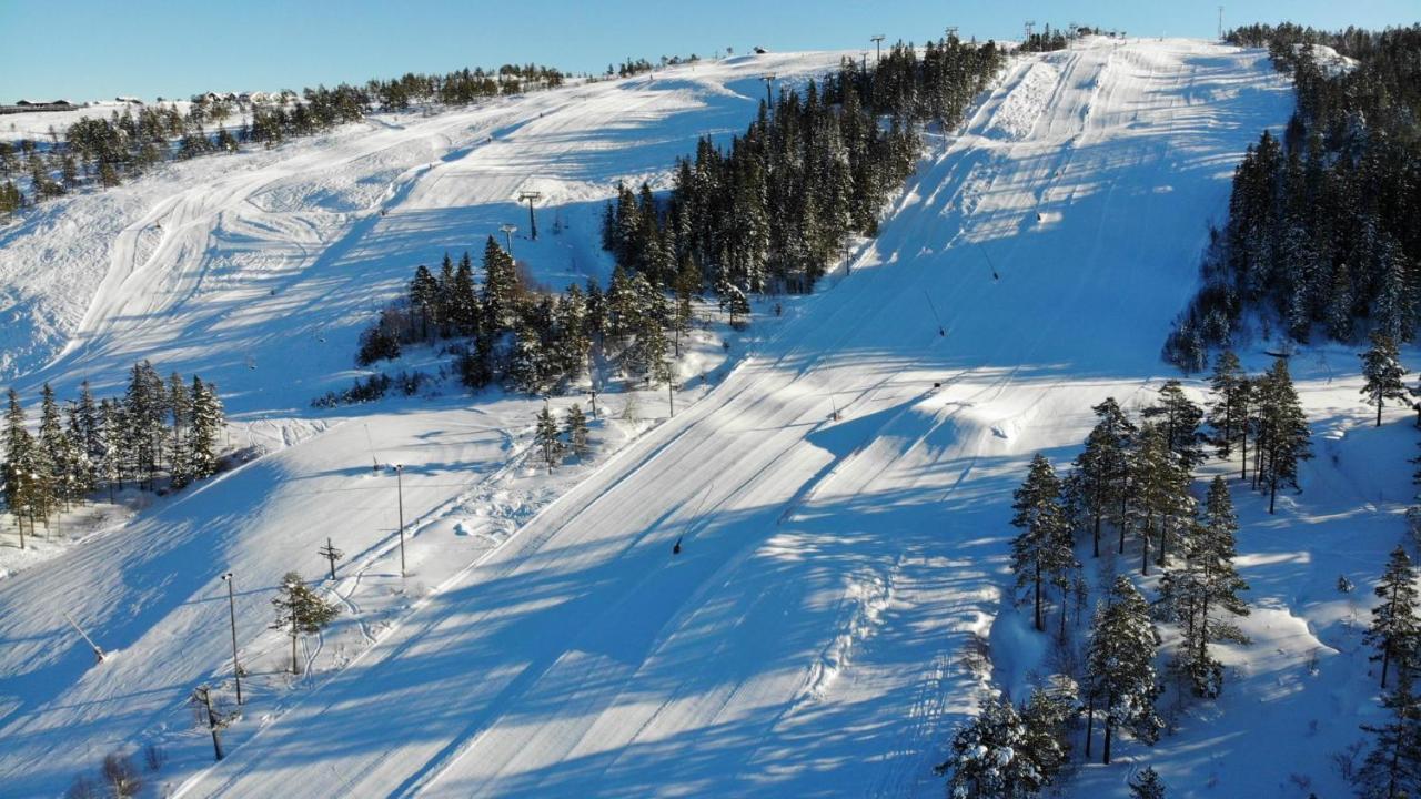 Ski Lodge Gautefall エクステリア 写真